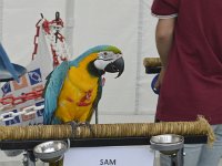 DSC0030